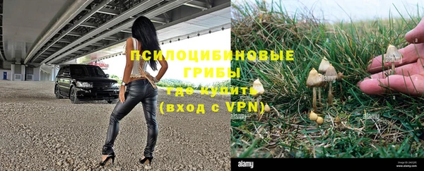 каннабис Бородино