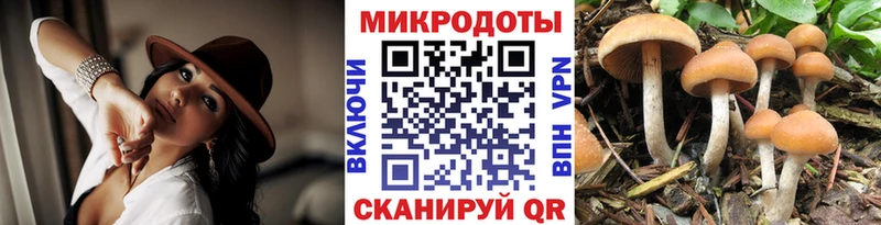 Псилоцибиновые грибы Magic Shrooms blacksprut маркетплейс Староминская